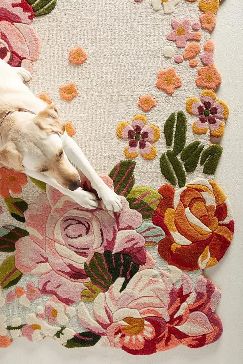 Aracelli Pink Floral Area Rug for Living Room and Bedroom